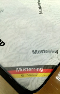 Musterring̃}bgXij